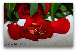wedding rings wedding-rings-on-red-rose-petals